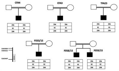 FANCA Gene Mutations in North African Fanconi Anemia Patients